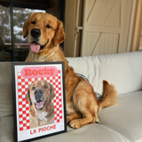 Portrait chien damier Rocky